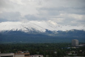 DSC_9101